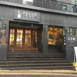 Hotel Petercat Shinchon ***